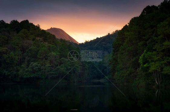 自然旅行湖中山上和松林的风光图片