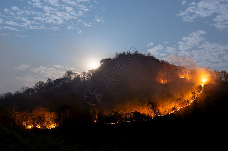 柔软的森林火灾夜间在泰国北部山上的森林中以红色和橙的焚烧野火树Soft焦点森林火灾野抽烟饵图片