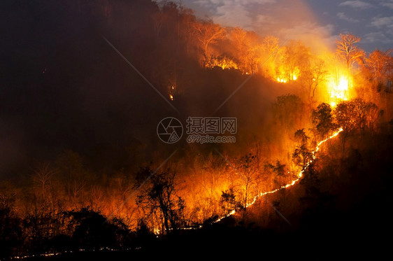 红色的夜晚森林火灾间在泰国北部山上的森林中以红色和橙的焚烧野火树Soft焦点森林火灾野户外图片