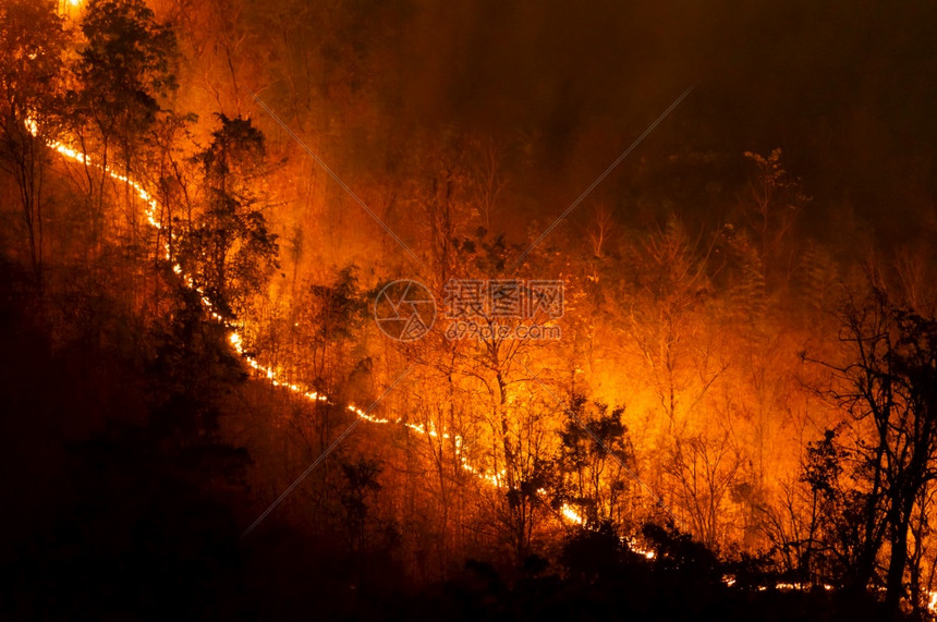 自然危险损害森林火灾夜间在泰国北部山上的森林中以红色和橙的焚烧野火树Soft焦点森林火灾野图片