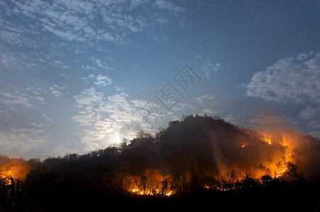 森林火灾夜间在泰国北部山上的森林中以红色和橙的焚烧野火树Soft焦点森林火灾野峡谷抽烟颜色图片