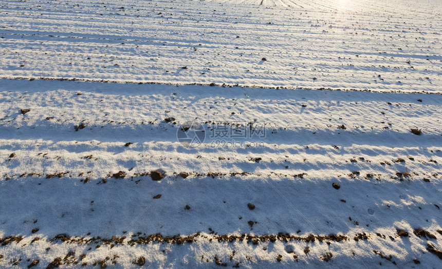 衬套乡村的在最后一场降雪之在地中下冬季的景象田野深度很小通过雪你可以看到从耕种的农地上土雪落后是场景图片