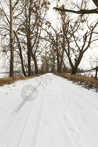 明亮的那里温度在路边树上有车轮痕迹的雪覆盖了农村道路上面有积雪在冬季公路上也有汽车轮的痕迹背景图片