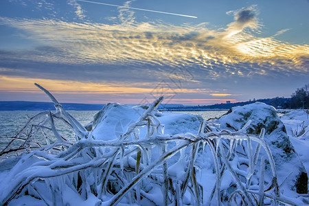 晚上蓝色的冬季风景日夕落和冷冻的树根海图片