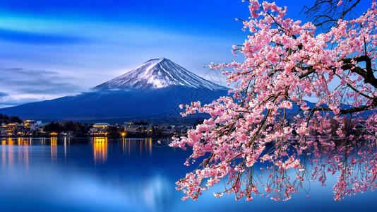 日本春天的藤山和樱花春天空旅行日本人图片