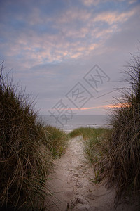 放松美丽穿过沙丘到日落的海滩暮图片