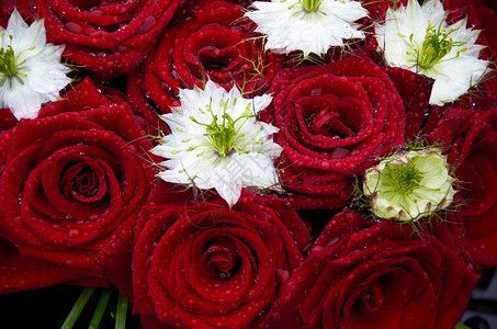 金子婚礼花束红玫瑰装饰风格草图片