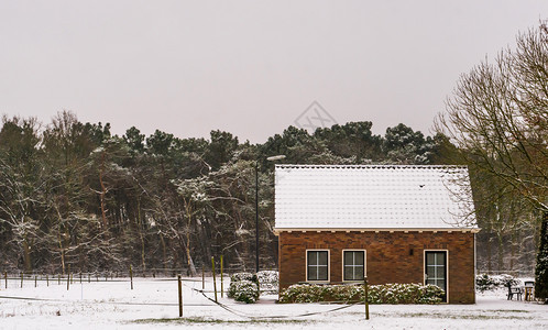 白色的生活在森林附近的冬季风景观农田和被雪覆盖的房屋中小农屋下雪的草图片