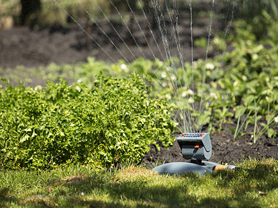 工具稻草喷洒机在白天的夏日花园里灌溉和草坪水中流淌着棕榈洋葱和草户外园艺图片