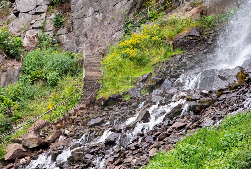 树木绿色夏季参观特鲁斯塔瀑布山图片