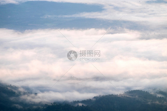 美丽的花季节雾山DoiLuangChiangDaoProvince清迈泰国风景图片