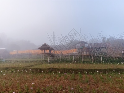 泰国乡村冬季美丽的风景冬天场地夏户外图片