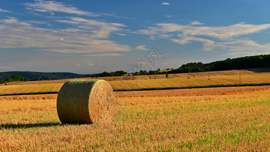 户外在金田地景色的海保收获夏季农场风景与Haystack在美丽的日落背景庄稼稻草图片