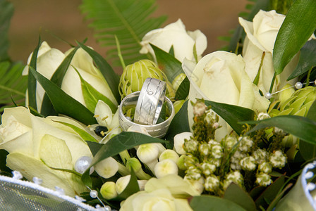 婚礼花束白玫瑰未来草女士图片
