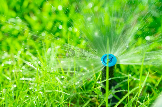 自动草坪喷洒灭水器用自动系统浇灌绿草撒布者用水并配有自动系统的园林灌溉为草开水节或使用可调适头垫的喷洒系统保护水源农场地服务图片