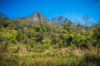 难的天空楼梯泰国清迈DoiLuangChongDao山自然公园景观图片