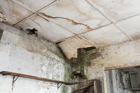旧废弃房屋漏水损坏天花板特写旧废弃房屋漏水损坏天花板保险破碎的腐烂图片