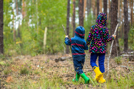 孩子们拄着拐杖在森林里散步采蘑菇孩子们拄着拐杖在森林里散步徒旅行背包图片