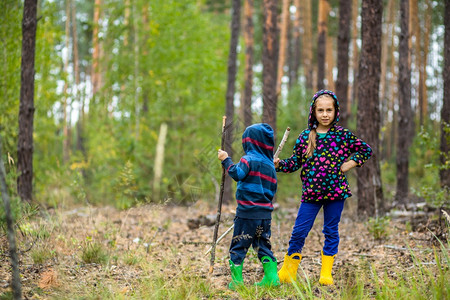 人们孩子拄着拐杖在森林里散步采蘑菇孩子们拄着拐杖在森林里散步远足旅行图片
