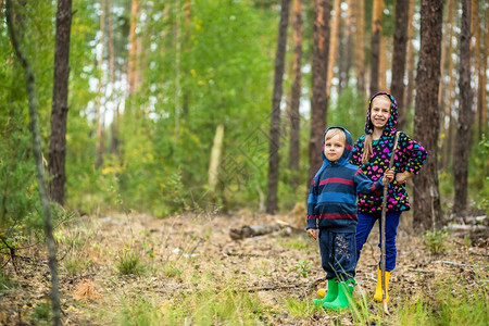 家庭采摘走孩子们拄着拐杖在森林里散步采蘑菇孩子们拄着拐杖在森林里散步图片