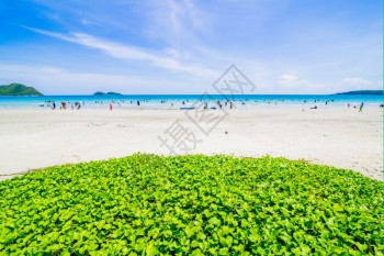 娱乐美丽的海滩和洋冲浪蓝天空海色的图片