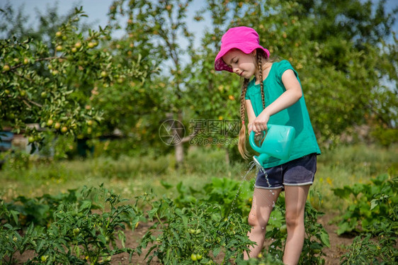 年轻的收成活动园艺花里给植物浇水的好女孩夏季园艺花里给植物浇水的好女孩图片