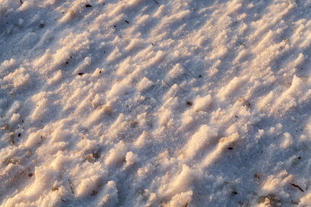 抽象的户外采取在最后一场雪落之的下照片是在降后的冬季拍摄图片
