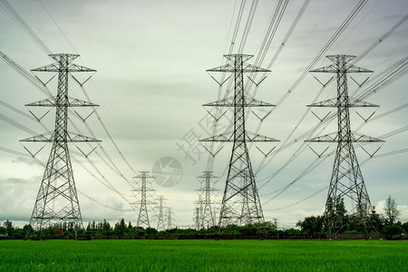 灰蒙基础设施高压电塔和线在绿色稻田和林木有阴天的电塔缆高压网塔力和能源概念景观工业的图片