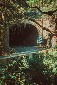 户外里面特内费岛的安纳加农村公园西班牙的绿树和古老公路隧道在特内里费岛的安纳加农村公园西班牙的绿树和旧路一座山上图片