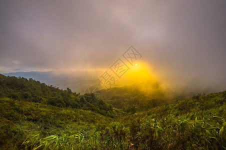 假期冷杉在山风景的日出多雾路段图片