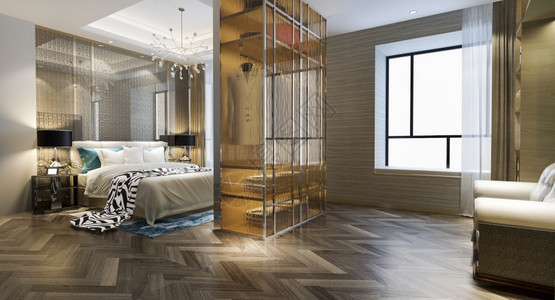 壁橱地面枕头3d提供豪华的现代卧室套房电视机配有衣柜和在中行走图片