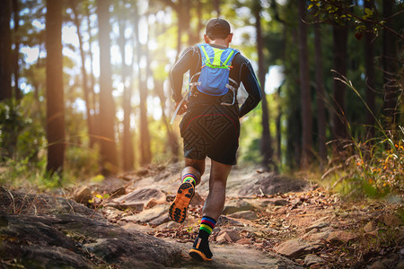 冒险山锻炼骑着运动鞋在森林中跑步的脚下穿着运动鞋在森林中奔跑图片