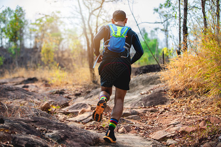 骑着运动鞋在森林中跑步的脚下穿着运动鞋在森林中奔跑人们马拉松冒险图片
