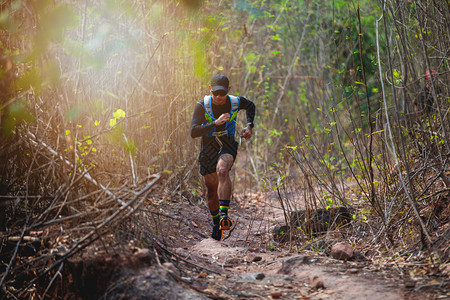 一种女士骑着运动鞋在森林中跑步的脚下穿着运动鞋在森林中奔跑赛者图片