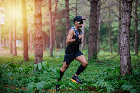 骑着运动鞋在森林中跑步的脚下穿着运动鞋在森林中奔跑赛者腿健康图片