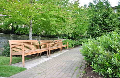 农村公园中走道和木椅子坐植物图片