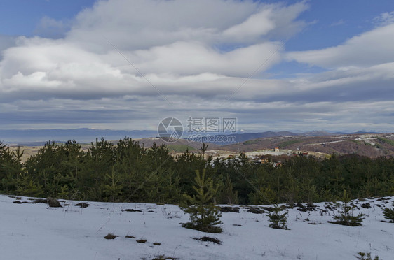 松树寒冷的顶峰云天冬季山雪地住宅区从Planta山到巴尔干或保加利亚欧洲的Stara平原的松木林和衰落森的大观图片