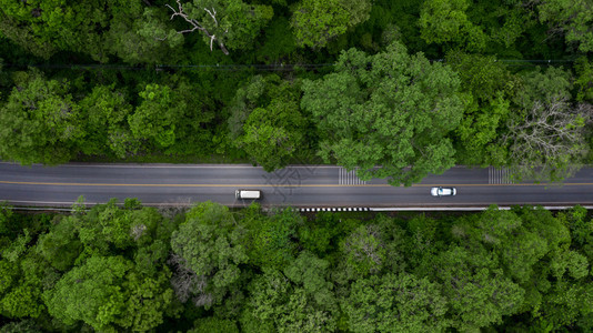 木头穿越森林的空中景观路穿过绿色森林的道路中空顶视车从上方看森林景观的纹理生态系统和健康环境的概念和背景最佳丛林图片