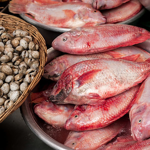 生鲜海鱼和蛤供在亚述食品市场销售吃一顿饭美食图片