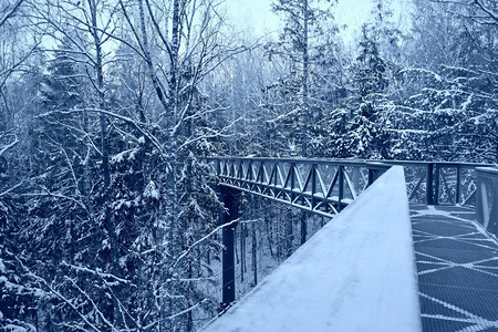 级联铁人行道小溪上的金属人行桥冬天的雪林美丽冬天小溪上金属人行桥美丽的冬天风景图片