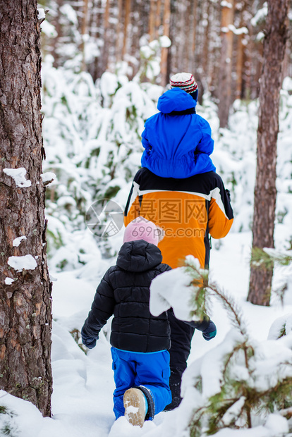 孩子们快乐的他冬天父亲带着年幼的孩子在树林里散步雪地橇和球中的冬季活动图片