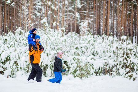 冬天父亲带着年幼的孩子在树林里散步雪地橇和球中的冬季活动成人游览孩子们图片