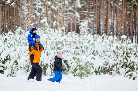 冬天父亲带着年幼的孩子在树林里散步雪地橇和球中的冬季活动成人游览孩子们图片