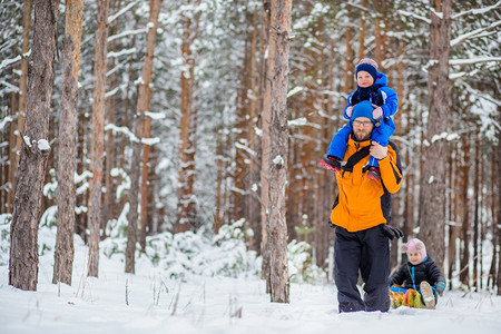 漫步家庭木头冬天父亲带着年幼的孩子在树林里散步雪地橇和球中的冬季活动图片