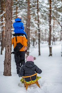 圣诞节冬天父亲带着年幼的孩子在树林里散步雪地橇和球中的冬季活动森林儿子图片