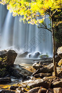 流媒体柬埔寨热带雨林风景的阳光日库伦瀑布有流淌的蓝水薄雾动图片
