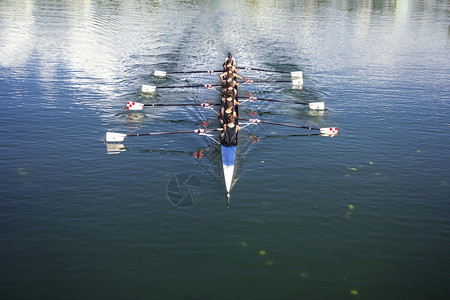 桨在宁静的湖上划船搭乘八艘轮独木舟划桨图片
