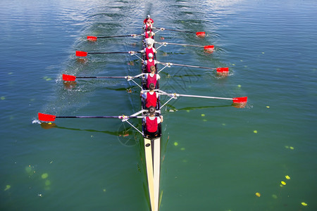 努力赛艇运动员量在蓝湖上划船的八艘轮图片