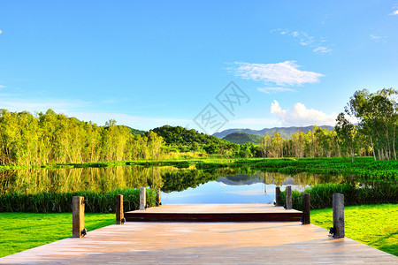 户外泰国蓝色天空背景的木桥水林山地自然景观图THA蓝色的生长图片