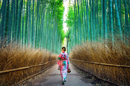 身穿和服的女孩在森林里游玩图片